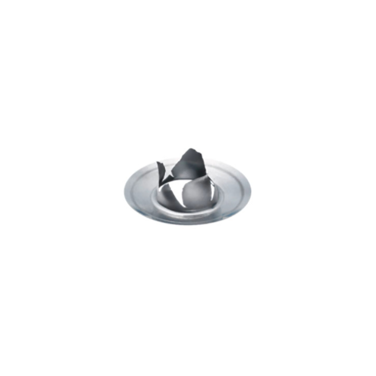 wehberg破裂膜（BSP）G 3/8“（DGBM）气囊爆破片欧洲货源