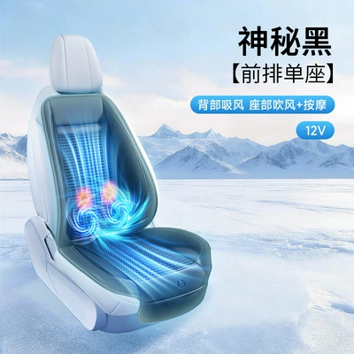 Cool pad, New product: Cross-border car seat cushion - black-hair-dryer-massage-12v-back-suction-seat-dryer