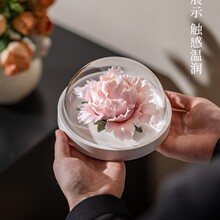 �ɻ��o���ֹ���޹�YƷ���üҾ����Ҕ[��Һ�w�������b�����ͻ�