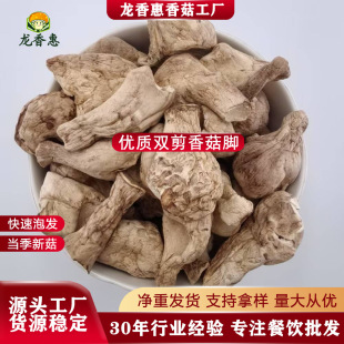 ���㹽�����{�㹽�_�p�����������_��؛�����_�����㹽�_��؛