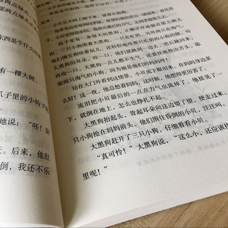 怪老头儿 孙幼军著 儿童文学名家经典书系 指定小学生书目bd中文 3