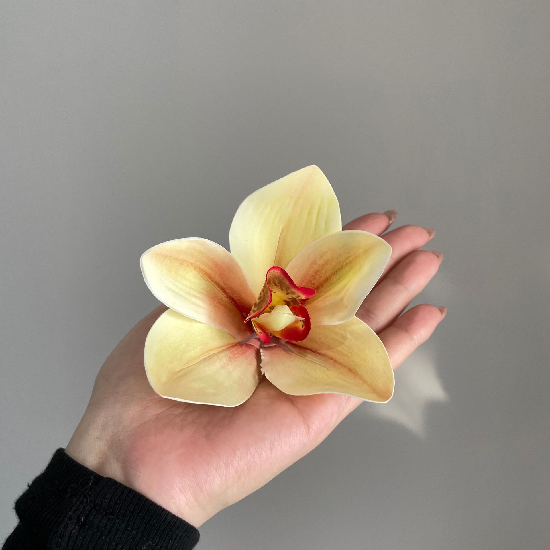 연노랑