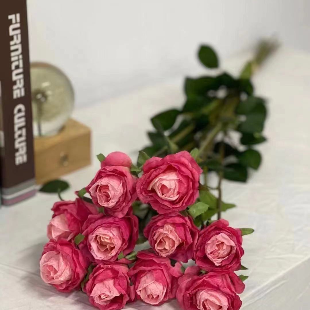 10-cabeza búlgara Rose