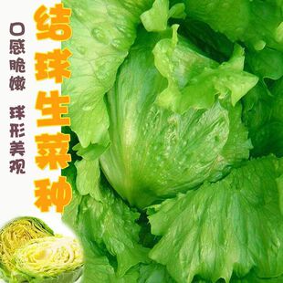 �Y�����˷N������h��ɳ���A���˷N�����＾���߲˷N��