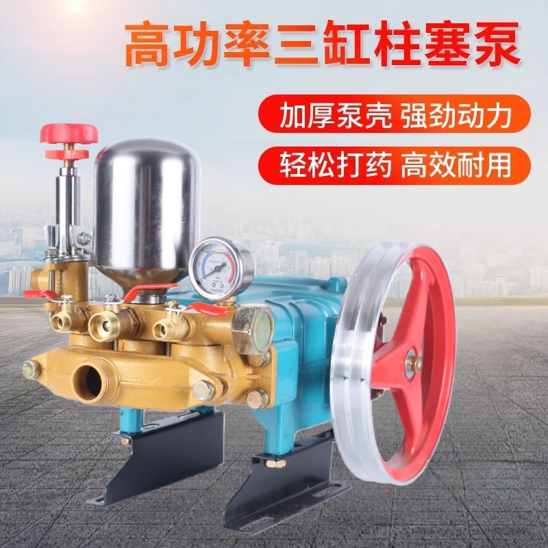 Three -cylinder plunger pump agricultural free butter high -pressure…