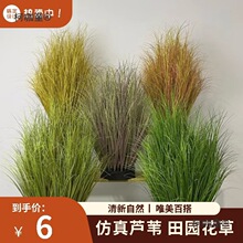 ����ֲ��ݼ����[�ݲ��Ѳݼٲݽ�z̦�ݾGֲ�����JȔ��̫����̫��