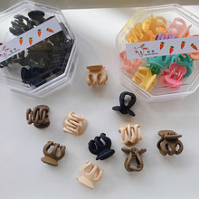 ʮ�����b�ǹ���ɫС�Ϲ�ץ�A�ɐ�ܛ��С���°lץ�Rβ�A�W�t�l�Ů