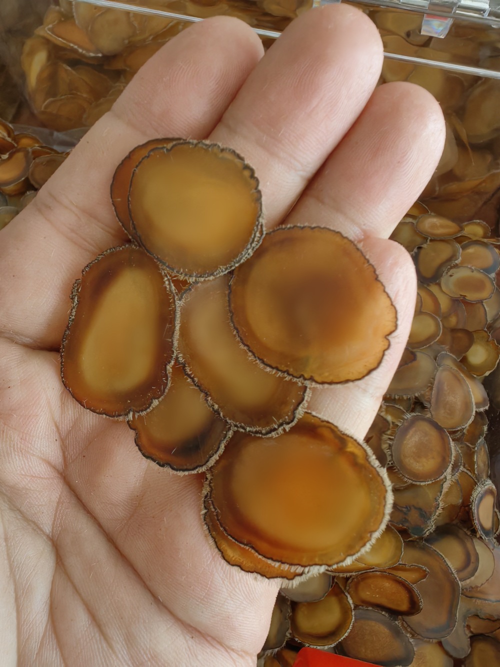 Deer Antler Slices Lu Rong Quan La Pian Full Wax Slices for Soup and Wine Infusion 5g overview