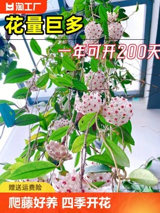 ���m�����Դ��紹����m�����ļ��_�����҃����پGֲ����m����