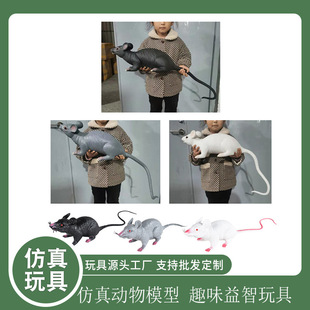 �羳�����󌚌�ģ����� ܛ�z�������� ����}��ģ�Ϳƽ̵ؔ����