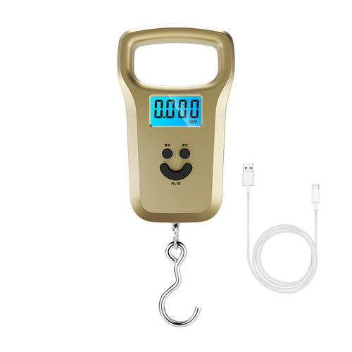 Household portable electronic scale rechargeable portable scale hook scale luggage scale express scale accurate travel scale fishing scale
