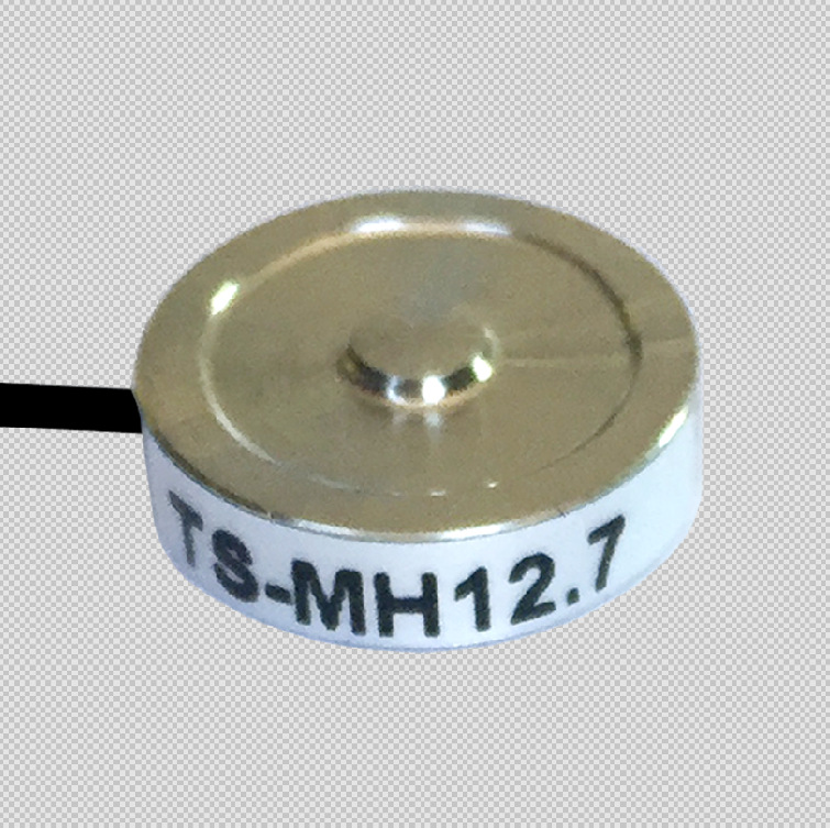 ˫ͷ�������ӳ��ز���������TS2813