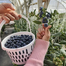 ?�{ݮ�@���w1��2���ժ�@���˻@���ϻ@ɰ���ٿ�����������ˮ���@