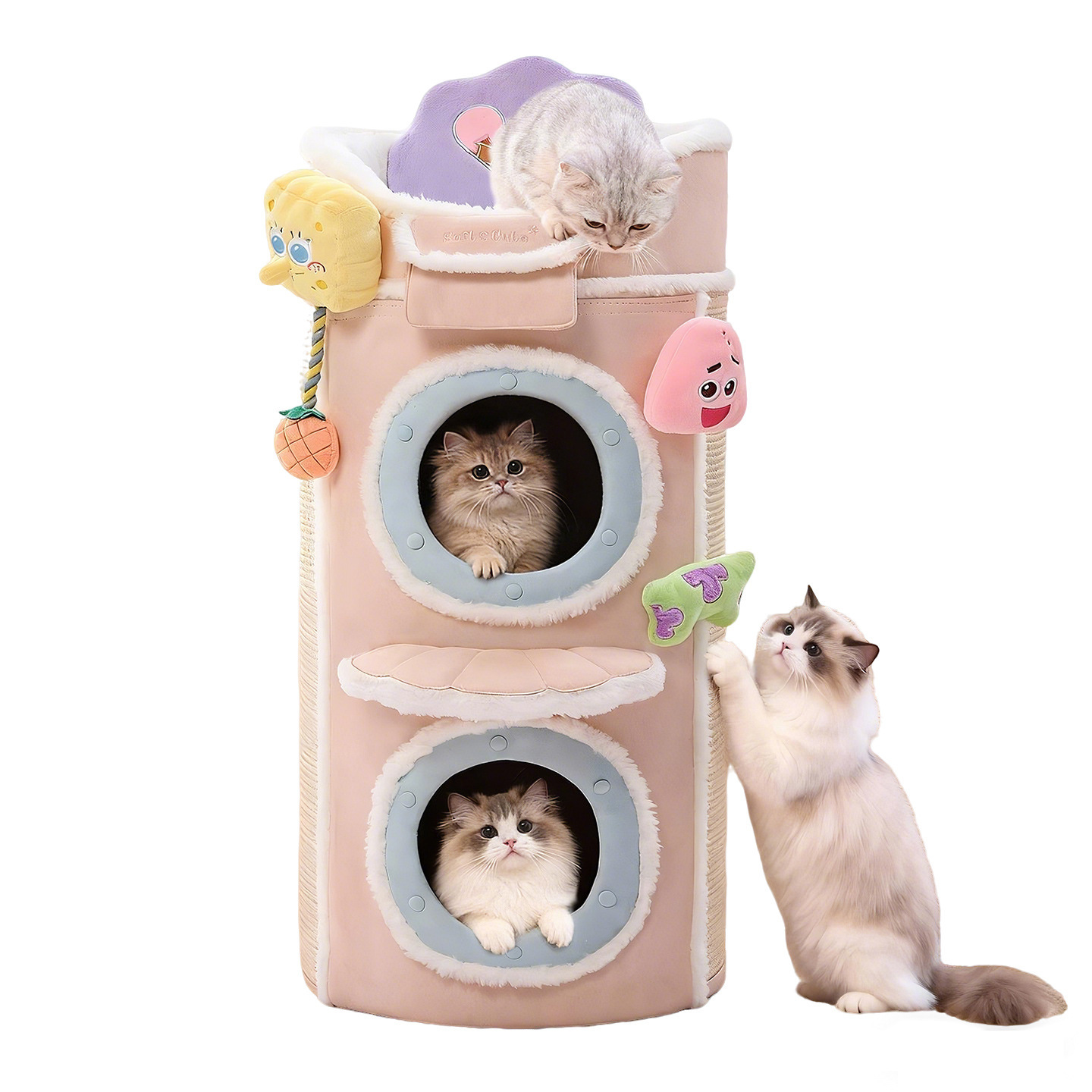 El Miao Xiaoyuan| Perder para gatos domésticos, perder para gatos grandes, perder para gatos