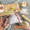 Cute little hamster