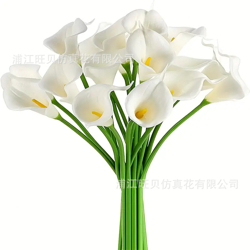 白色黄心