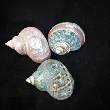 ��Ȼ����ؐ�����x�ľ�з���ݚ�ؐ���zӰ�~���쾰��ˇ�b��R�d��