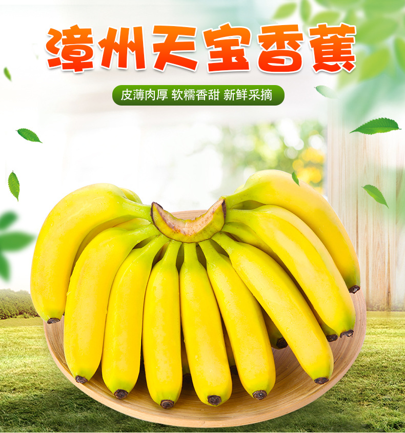 天宝香蕉_01.jpg