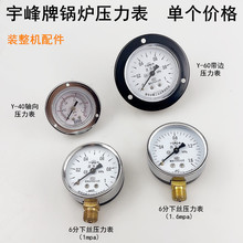 锅炉带边压力表江心全蒸汽发生器配件1-1.0mpa面板式轴向气压表盘