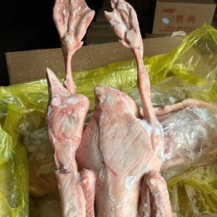 ������r�|�����Z�������Z��ʼ���Z5-8ֻ�bë��40�ｭ������