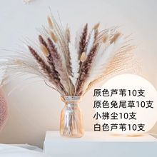 ���R�d����˹��С�JȔ��β�ݷ��mС�JȔ�Ҿ��b��羳�ɻ�����