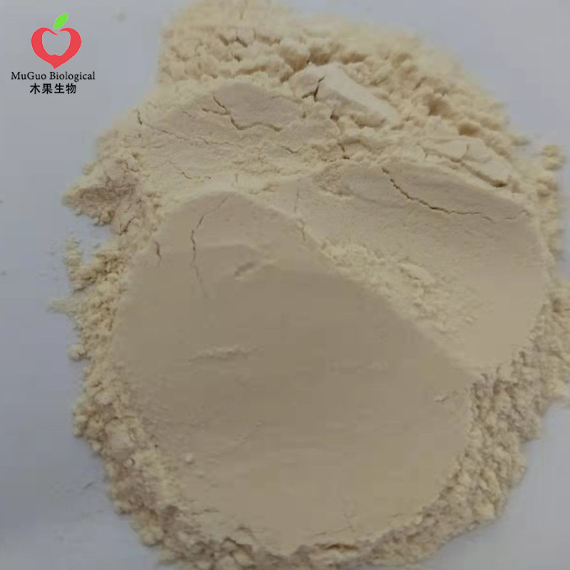 80% Ginseng Saponins, Ginseng Extract, Ginseng Powder, Rh2 & Rg1, Total Ginseng Stem and Leaf Saponins—Available in Multiple Specifications