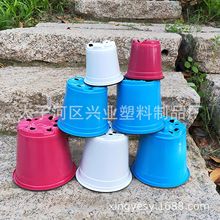 �S��ֱ�N���lPP��ɫ�pɫ���ϻ������绨�軨���߲����ԷNֲ������