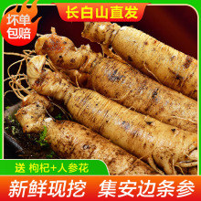 ���x�����r�F�ڡ��L��ɽ���r�˅�����߅�lɽ��Ұ��֦500g�@���ݾ�