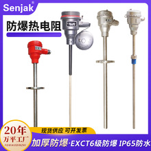 ����������b��ʽpt100�����K���żWZP240������̽�^ݔ��4-20ma