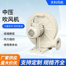 ЉLC偠tLCNO͟S܇gQͨLş