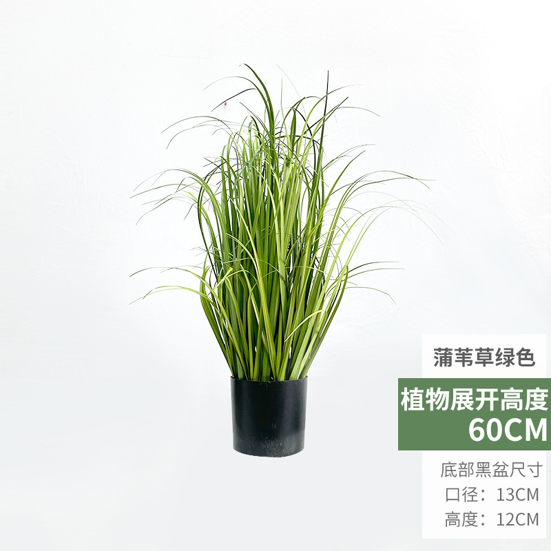 犬尾巴草シミュレーション花葦草偽草シミュレーション緑植毛虫猫尾草偽花箱装飾造景観|undefined