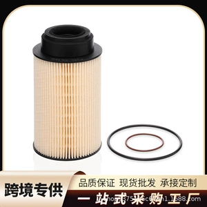 Fs19869 Diesel Filter Adapted to Iwc P550821E422Kp02 D168Pf7986