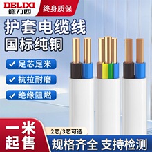 德力西电线电缆2芯三芯国标纯铜1.5/2.5/4平方软线家用电源护套线