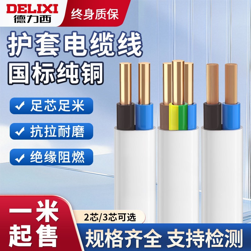 德力西电线电缆2芯三芯国标纯铜1.5/2.5/4平方软线家用电源护套线