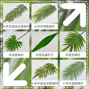 �����ָ�ܛ�z�Gֲ�~�ӻ�c���ù���ܛ�b�b�ɢβ�~�����~�B��ާ�~