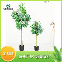 cWľֲGֲԺsb[辰ֱN