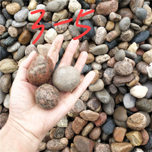 鵝卵石3-5公分鋪路造景用 濾料鵝卵石水處理墊層河卵石5-8厘米