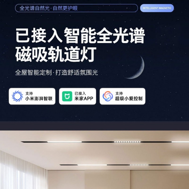 スマート磁気トラックライト埋め込み式リビング照明|undefined