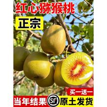 �J���Ҙ���繫ĸͬ��t�īJ����������޽�ˮ��������ϱ����Nֲ