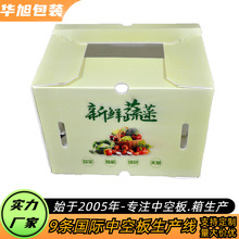 供應姜箱蔬菜箱  廠家供應中空板姜箱 鈣塑箱 周轉運輸用