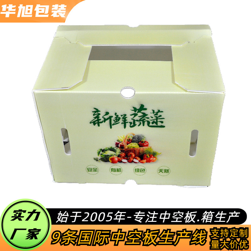 供应姜箱蔬菜箱  厂家供应中空板姜箱 钙塑箱 周转运输用