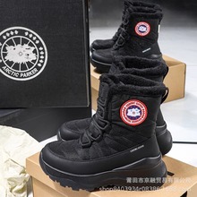 F؛lѩѥŮӽqӺ񶬼ˮѥɽѩЬ