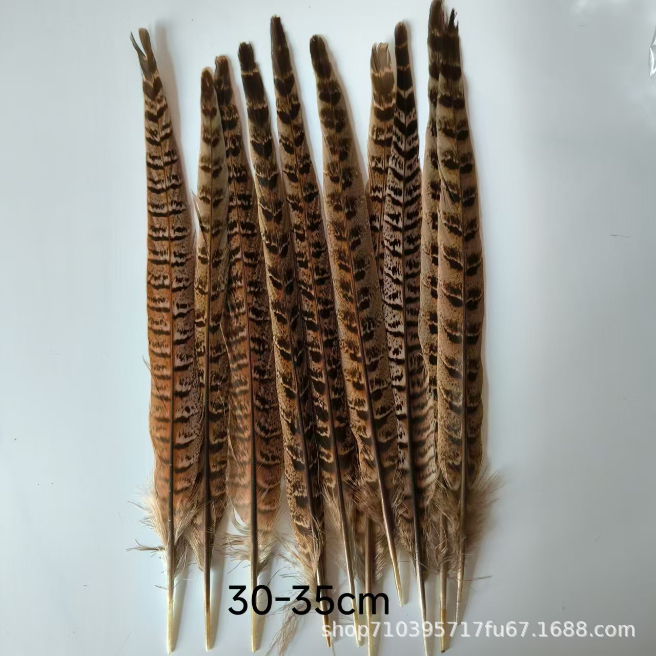 Fábrica al por mayor pelo de faisán 10-90cm cola de faisán pluma de bricolaje danza plumas de faisán cola de gallina palo de gato divertido image 9
