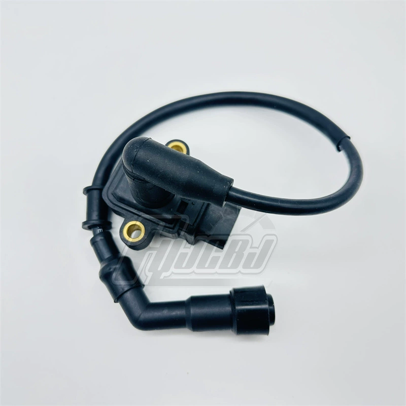 Поставка литров ZT368/350D/E/M ZT350GKVXSTR Высоковольтная катушка зажигания высокого давления пакет старый