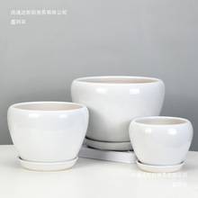 ht白色陶瓷花盆家用客厅轻奢感大号口径苹果兰花蝴蝶兰王之落地式