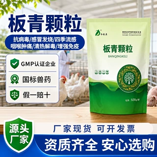 兽用板青颗粒流感呼吸道药畜禽感冒抗病毒退热清热板蓝根颗粒