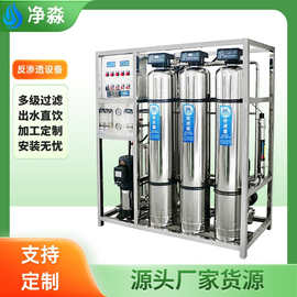 加工定制单双级反渗透水处理设备超高纯水睡制取设备双级ROEDI