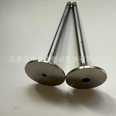 In-stock supply of Shangchai Valves and components