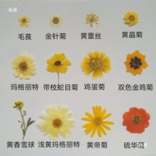 �r���ٽz����DIY�������ܸ���ŮѺ���~�Ӊ���ֲ��˱��ɻ�ֲ�q