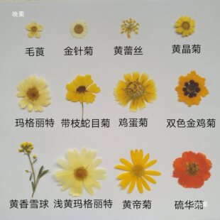 �r���ٽz����DIY�������ܸ���ŮѺ���~�Ӊ���ֲ��˱��ɻ�ֲ�q